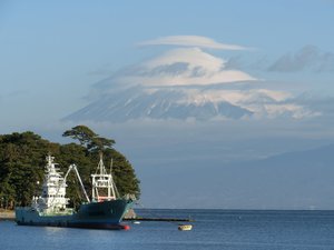戸田港から今日の富士山