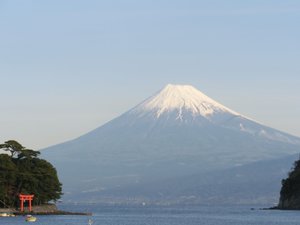 戸田港からの今日の富士山です。