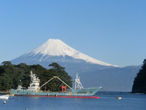 戸田港からの今日の富士山