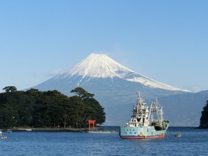 戸田港からの今日の富士山です。