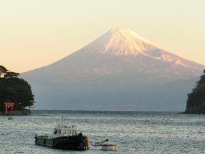 戸田港からの早朝の富士山です。