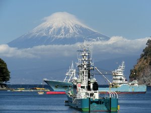 戸田港からの今日の富士山です。