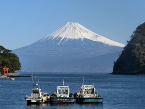 今日の富士山（戸田港より）