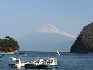 戸田港からの今日の富士山
