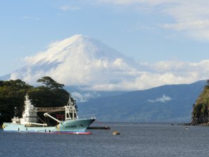 戸田港から見た富士山(4/27午後）