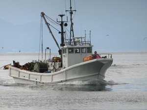 明日駿河湾のトロール漁解禁（戸田港）