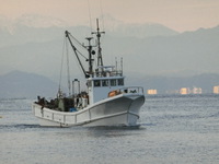 今日の駿河湾のトロール漁（＃赤むつ　＃深海エビ）