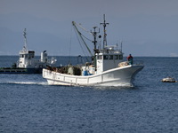 今日の駿河湾のトロール漁（タカアシガニ、深海魚の水揚げ）