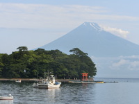 今日の富士山（戸田港〉