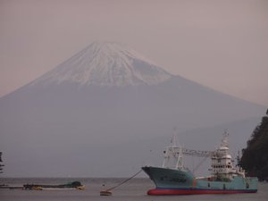 今日の富士山（西伊豆戸田港から）