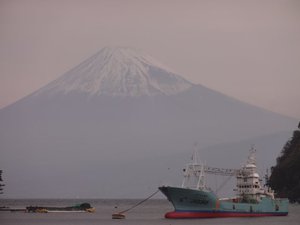 今日の富士山（西伊豆戸田港から）