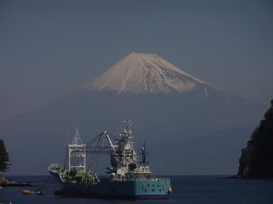 今日の富士山（戸田港）