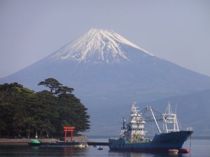 今日の富士山（西伊豆戸田港から）