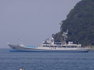 今年も実習船が停泊しています。（戸田港）