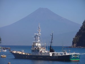 西伊豆戸田港からの今日の富士山