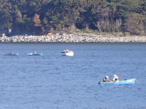 西伊豆戸田港　早朝の釣り風景