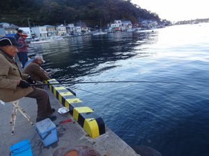 戸田港　岸壁からのカマス釣り