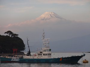 西伊豆戸田からの富士山