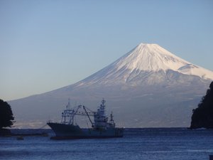 西伊豆戸田から今日の富士山