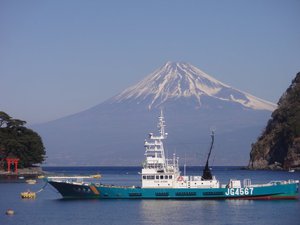 西伊豆戸田からの早朝の富士山