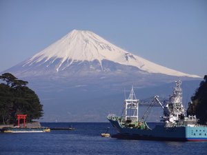 西伊豆戸田からの３/１１の富士山