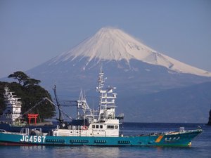 西伊豆戸田からの今日の富士山