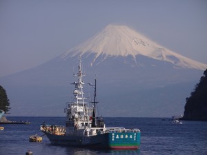 今日の富士山（西伊豆戸田から）