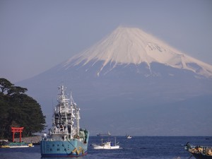 今日の富士山（西伊豆戸田から）