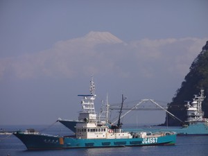 西伊豆戸田からの今日の富士山