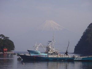西伊豆戸田からの今日の富士山