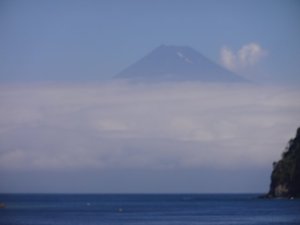 今日の戸田からの富士山