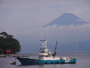 西伊豆戸田港からの今日の富士③