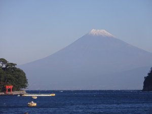 今日の富士山（戸田港から）
