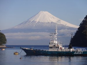 戸田からの今日の富士山