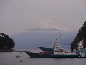戸田からの今日の富士山