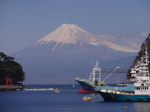 戸田港からの今日の富士山