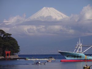 戸田からの今日の富士山