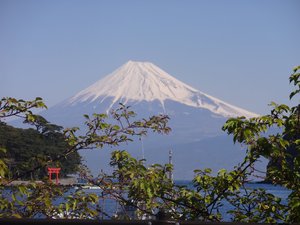 西伊豆戸田港早朝の富士山