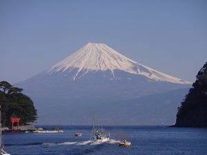 西伊豆戸田港早朝の富士山