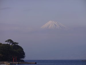 西伊豆戸田港からの今日の富士山