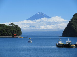 今日の富士山（戸田港〉