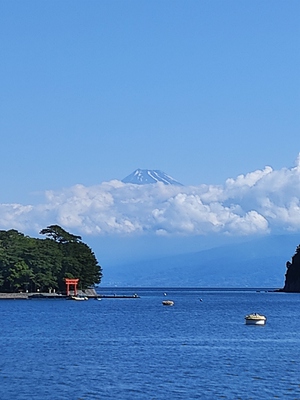 今日の富士山(戸田港より)