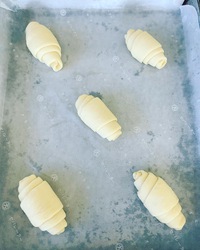 はじめての焼きたてパン 2023/01/25 19:59:07