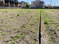 田植え始まりました 2020/05/28 19:49:52