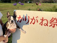 かりがね祭り 2022/09/30 21:01:52