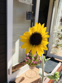 三連休のいろいろ 2019/09/17 16:17:14