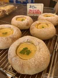 若さの代償‼️老いの特権‼️ 2022/06/09 19:09:13