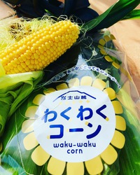 初物いただきまーす 2022/06/29 18:37:37