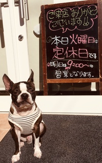 最近人気のパン 2019/11/13 02:56:49