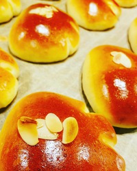 落し物拾いました 2022/10/19 14:05:41